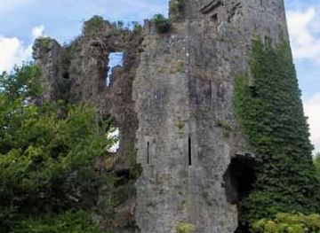ireland/county-limerick/landmark/troy-s-castle
