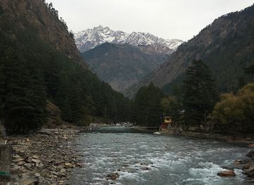 india/himachal-pradesh/landmark/hadimba-devi-temple