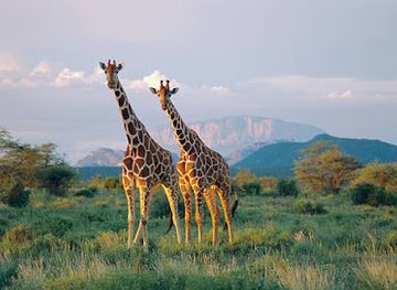 kenya/amboseli-national-park/landmark/buffalo-springs-national-reserve