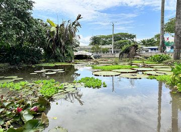 colombia/leticia/landmark/leticia-amazonas