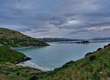new-zealand/dunedin/otago-peninsula/landmark/allans-beach