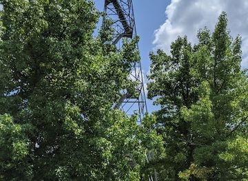 arkansas/eureka-springs/landmark/razorback-tower