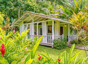 costa-rica/cahuita-national-park/landmark/la-rana-de-cahuita