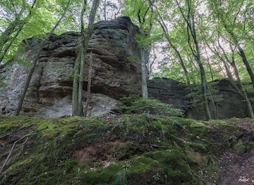 luxembourg/mullerthal-trail/landmark/roitzbach-schluff