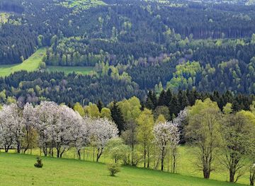 czechia/sumava-national-park/landmark/vodni-zamek