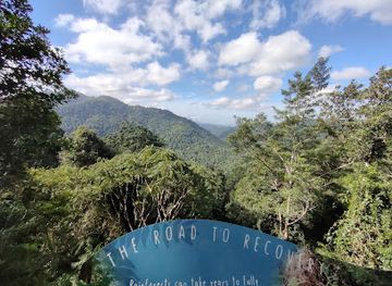 australia/far-north-queensland/landmark/mamu-tropical-skywalk