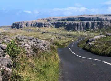 ireland/the-burren/landmark/heart-of-burren-walks