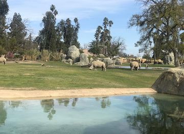 california/fresno/landmark/fresno-chaffee-zoo