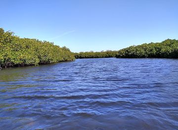 mexico/baja-california-peninsula/landmark/playa-el-mogote