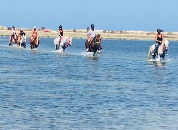 tunisia/the-dorsal/landmark/ranch-adada-djerba