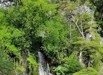 argentina/southern-patagonia/landmark/patagonia-canopy-tour