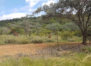 south-africa/waterberg/landmark/doorndraai-dam-campsite