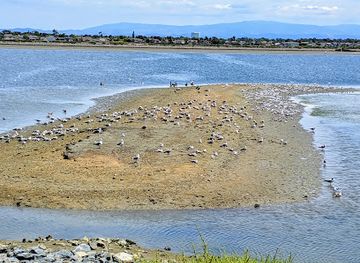 california/huntington-beach/bolsa-chica-state-beach/landmark/bolsa-chica-basin-state-marine-conservation-area