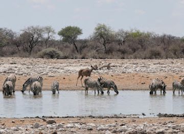 namibia/namaland/landmark/etosha-national-park