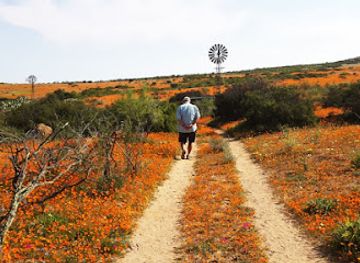 south-africa/namaqualand/landmark/namaqua-flower-skilpad-camp