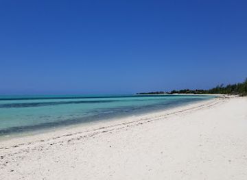 the-bahamas/grand-bahama-island/landmark/garden-of-the-groves