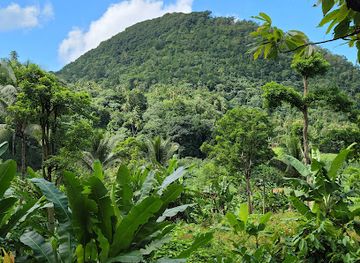 saint-lucia/pitons/landmark/project-chocolat
