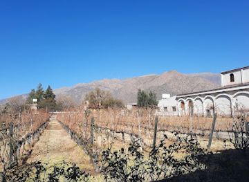 argentina/cafayate/landmark/bodega-domingo-hermanos