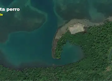 Achuya punta perro