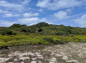 De Mond Nature Reserve