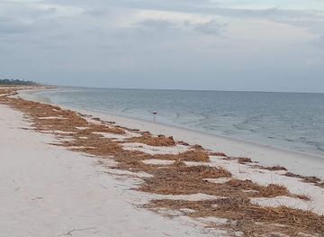 mississippi/gulf-coast-beaches/landmark/hard-rock-hotel-casino-biloxi