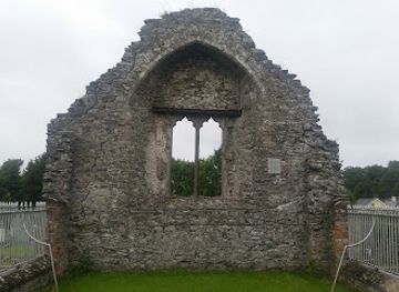 ireland/county-louth/landmark/dromiskin-monastic-site