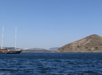 djibouti/goda-mountains/landmark/dolphin-excursions-djibouti