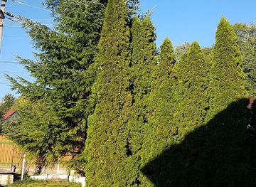 romania/wallachia/landmark/dealul-rotunda