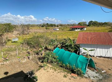 panama/pedasi/landmark/coucou-crazy