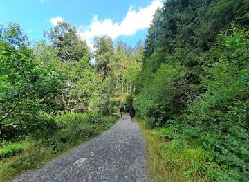 belgium/hautes-fagnes/landmark/pont-sur-le-bayehon