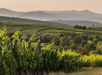 france/alsace-wine-route/landmark/domaine-joseph-gruss-son-fine-wines-of-alsace