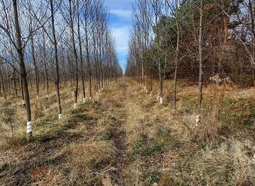 canada/monteregie/landmark/lieu-historique-national-du-canada-de-la-bataille-des-cedres