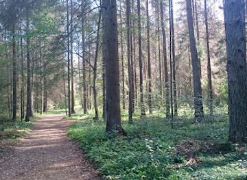 poland/białowieża-forest/landmark/miejsce-mocy