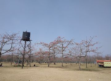 bangladesh/sylhet-division/landmark/joynal-abedin-shimul-garden