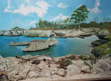 dominican-republic/cordillera-central/landmark/national-botanical-garden-dr-rafael-maria-moscoso