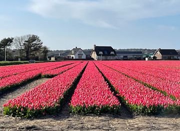 netherlands/bollenstreek/landmark/duin-en-bollenstreek-knoopunt-69