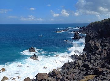 saint-kitts-and-nevis/black-rocks/landmark/black-rocks-memories