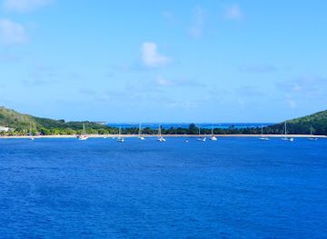 saint-vincent-and-the-grenadines/mayreau/landmark/saline-bay