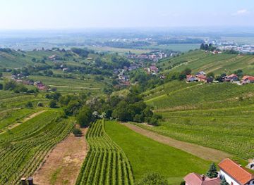 slovenia/prekmurje/landmark/vinarium-tower