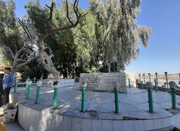 iraq/shatt-al-arab/landmark/the-tree-of-knowledge-adam-s-tree-garden