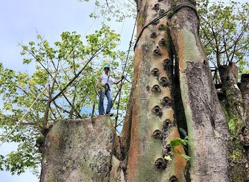 ecuador/puerto-baquerizo-moreno/landmark/la-casa-del-ceibo