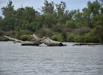 france/camargue/landmark/petite-camargue