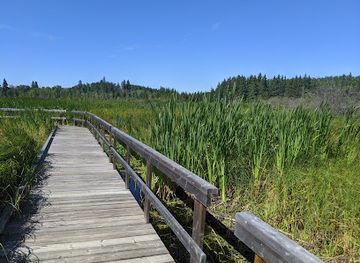 canada/parkland-region/landmark/ominnik-marsh-trail