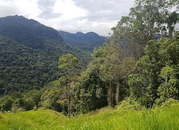 papua-new-guinea/central-highlands/landmark/owers-corner