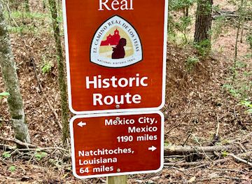 texas/piney-woods/landmark/lobanillo-swales