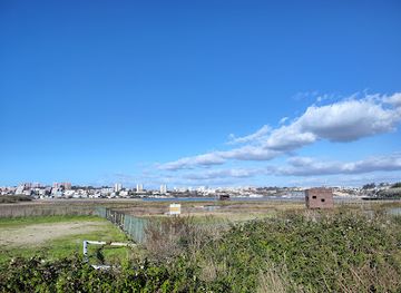 portugal/douro-valley/landmark/nature-reserve-douro-estuary-site