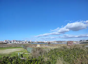 Nature Reserve Douro Estuary Site