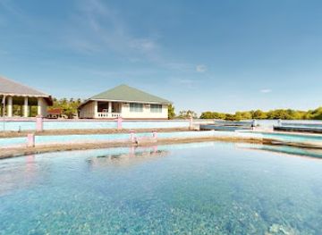 samoa/gaga-ifomauga/landmark/mataolealelo-spring