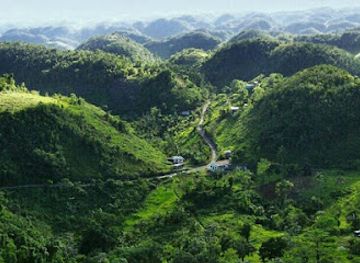 jamaica/cornwall-county/landmark/tropical-trips-jamaica