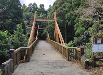 japan/yakushima/landmark/yakusugi-museum